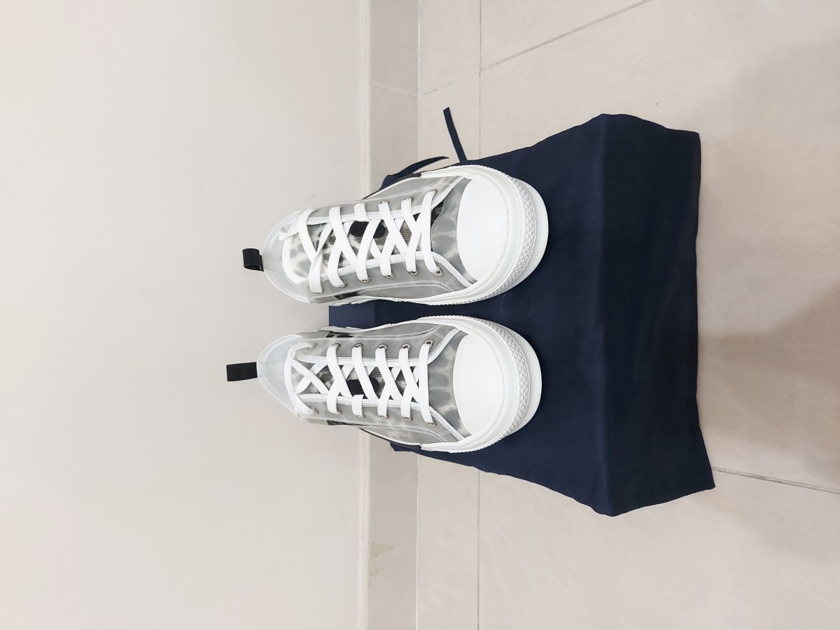 dior b23 grey leopard