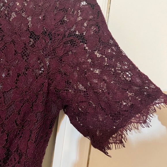 chinese dress ladies Aritzia babaton maroon 'tobias' lace dress, size 4 (sale: was $58) main image 0