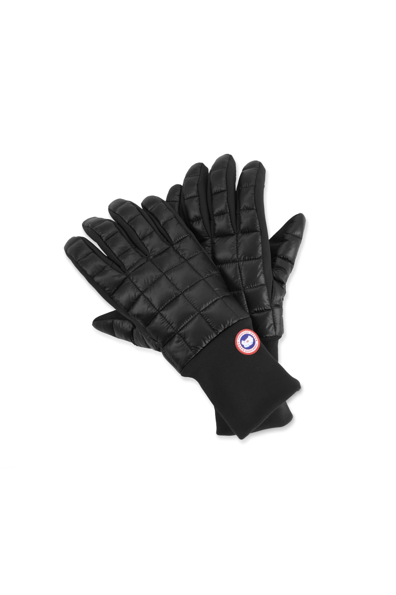 NORTHERN GLOVE LINERS - 1