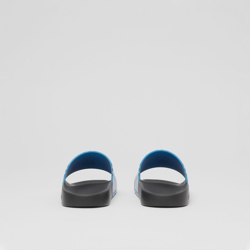 Check Print Slides 6