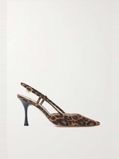 Gianvito Rossi Ascent leopard-print suede slingback pumps