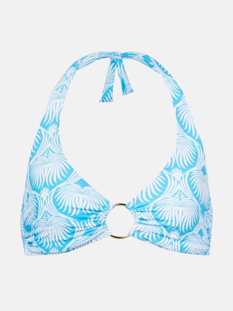 MELISSA ODABASH Brussels printed bikini top