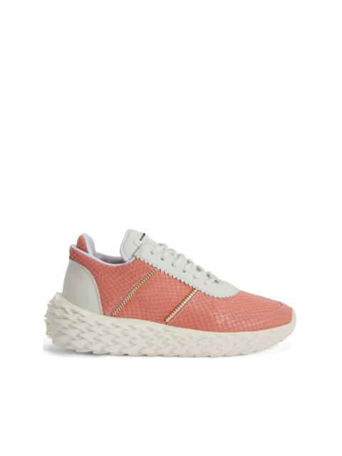 Giuseppe Zanotti Urchin python-print sneakers
