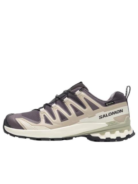 SALOMON Salomon XA Pro 3D V9 GTX 'Dark Grey Beige' 477447
