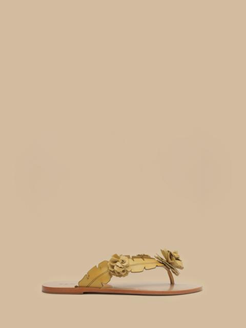 FARM RIO Buttermilk Blooming Flat Sandal