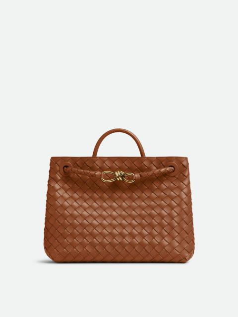 Bottega Veneta Medium Andiamo