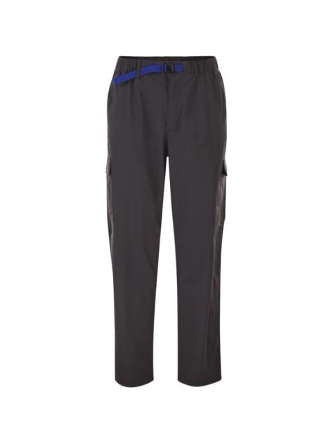 Patagonia Everyday cargo pants