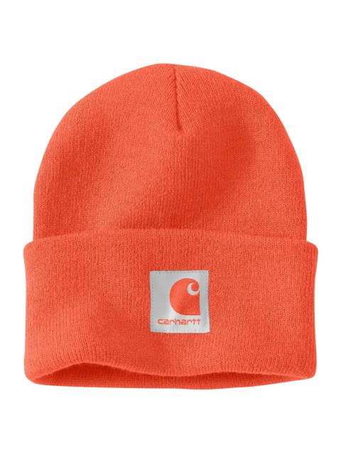 Carhartt Lined Cuffed Beanie