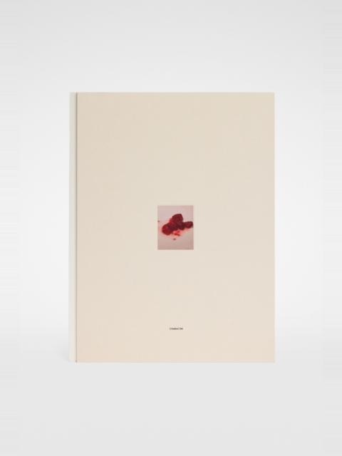 Jil Sander David Sims, Character