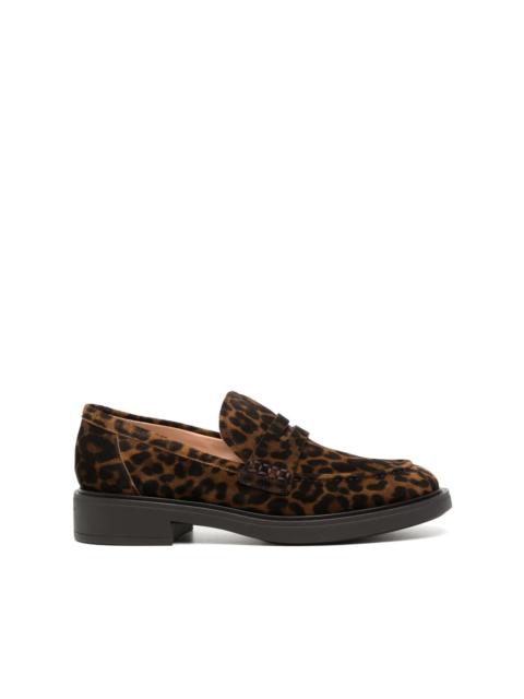 leopard-print leather loafers