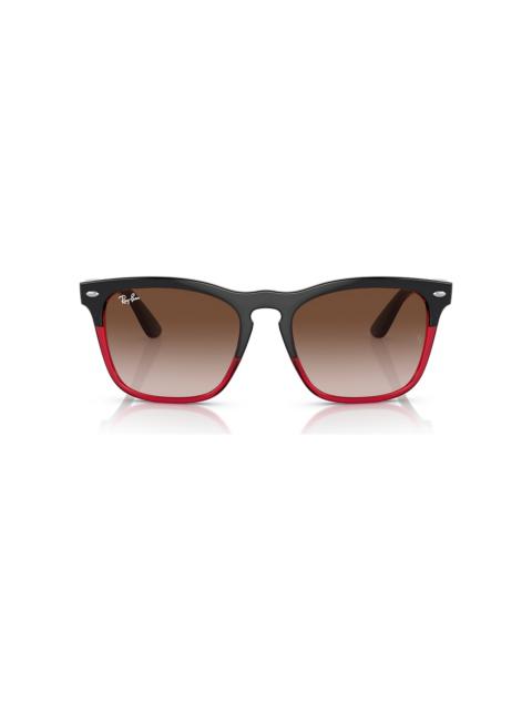 Ray-Ban RB4487 Steve