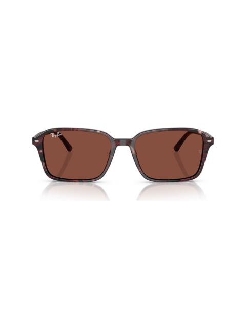 Ray-Ban RB2231 Raimond