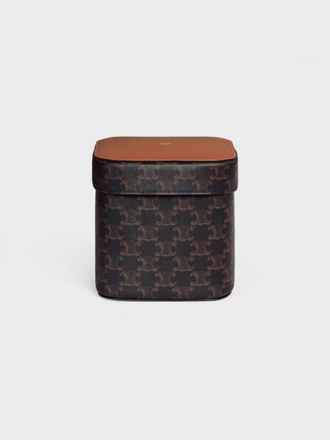 CELINE Large Box in Triomphe Canvas and Calfskin