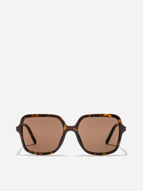 Dolce & Gabbana DG Everyday Sunglasses