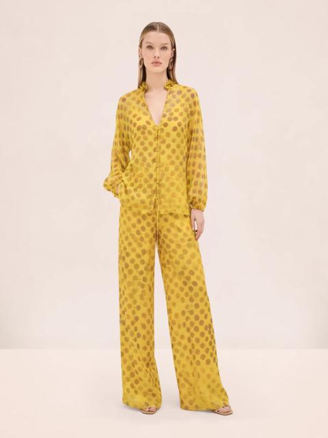 ALEXIS ONZO TOP