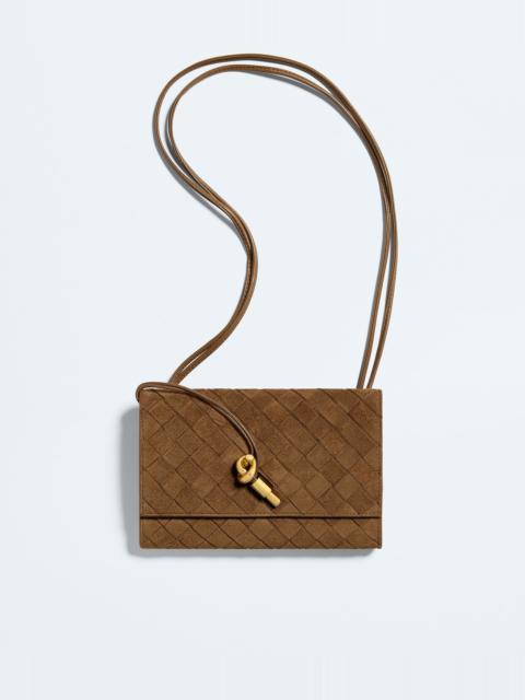 Bottega Veneta Andiamo Pouch on Strap