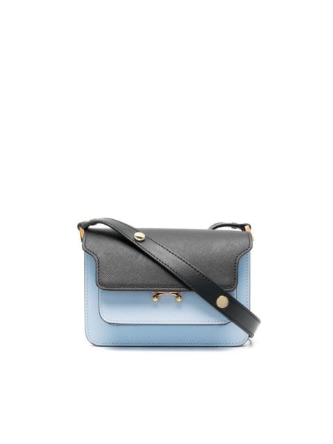 Trunk shoulder bag