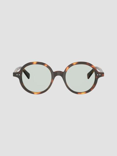 CELINE Women's Riff 48MM Round Sunglasses - Brown Green