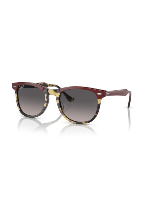 Ray-Ban EAGLE EYE