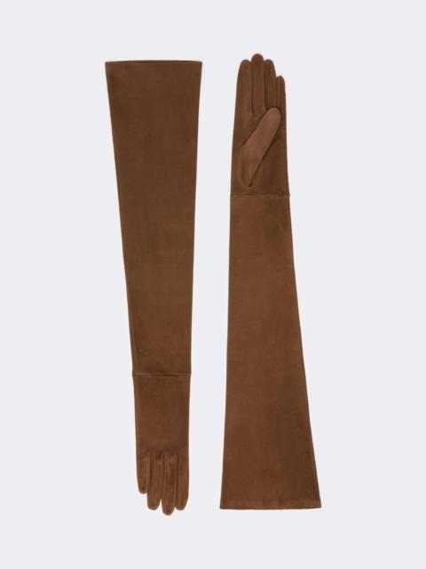 Max Mara ESTREMO Long suede gloves - BROWN