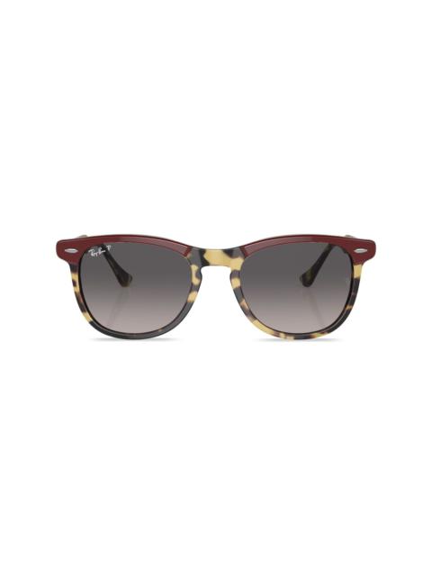 Ray-Ban Eagle Eye round-frame sunglasses