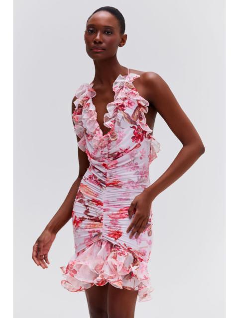 PatBO Floral Haze Stretch Tulle Sleeveless Mini Dress