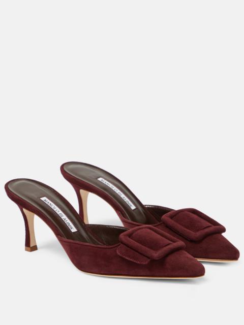 Manolo Blahnik Maysale 70 suede mules