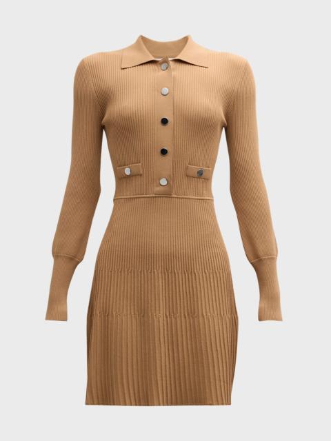 Lauper Long-Sleeve Ribbed Mini Dress