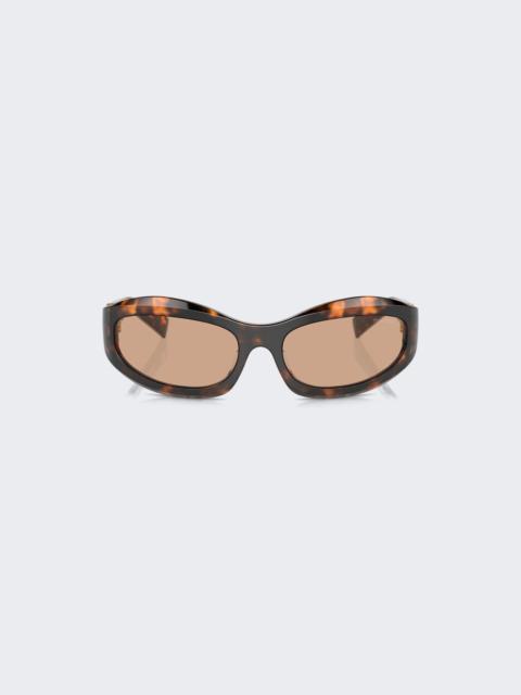 Miu Glimpse Sunglasses Honey Tortoiseshell