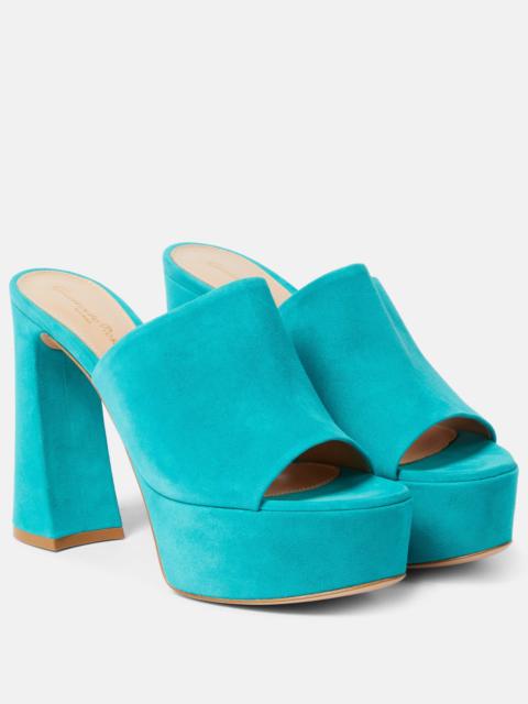 Gianvito Rossi Holly suede platform mules