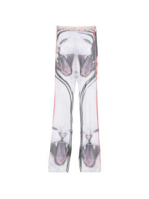 OTTOLINGER cat-print mesh trousers