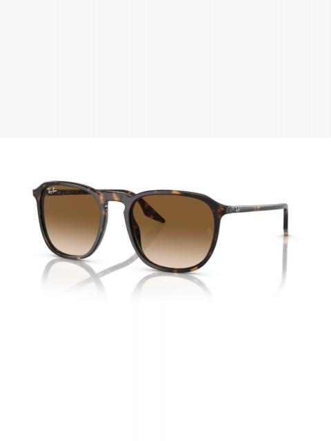 Ray-Ban RB2203