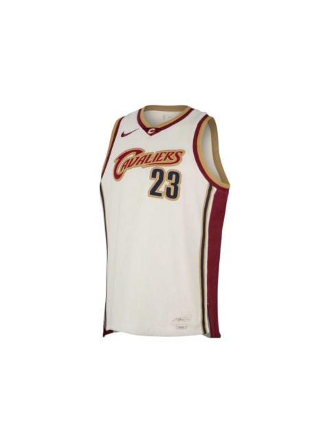 Nike Nike LeBron James Dri-FIT NBA Jersey Multicolor