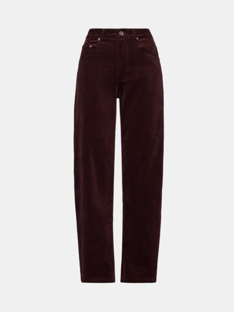 STEVE MADDEN SYDNEE PANT DEEP FIG