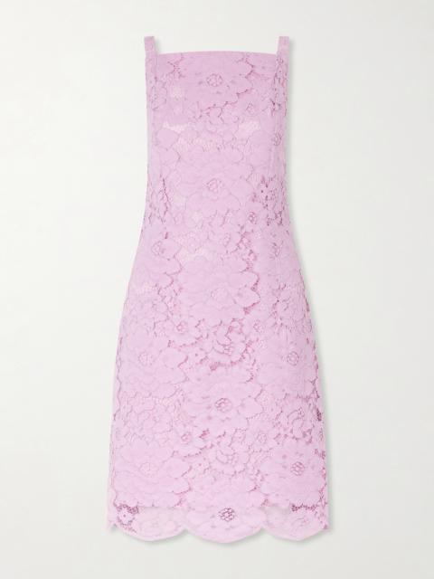 PATOU Floral-embroidered Cotton-blend Guipure Lace Midi Dress