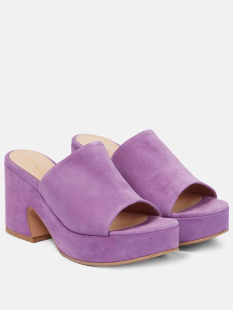 Gianvito Rossi Suede platform mules