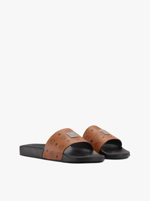 MCM Visetos Slides