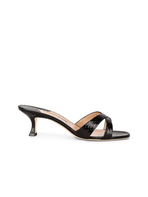 Manolo Blahnik Calla 50 Mule Sandal