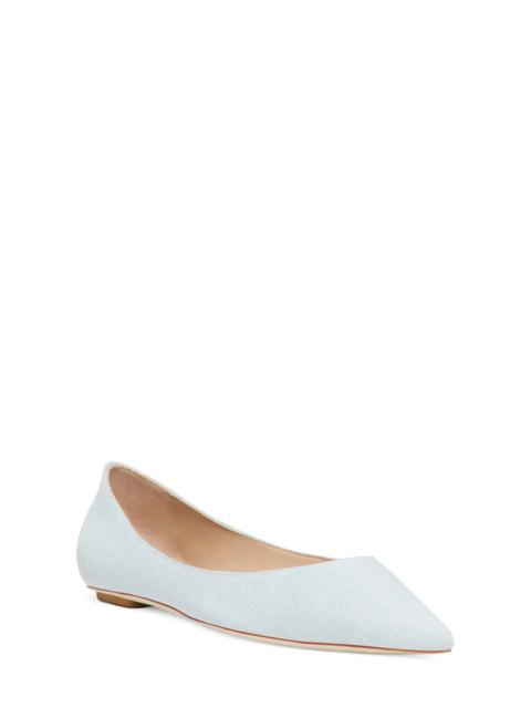 Emilia Pointed Toe Flat