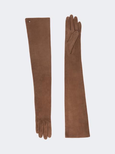 Max Mara AZZURRO Extra-long suede gloves - BROWN