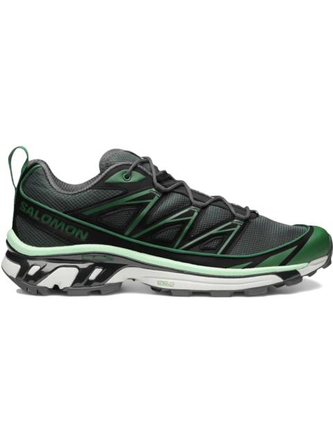 SALOMON Salomon XT-6 Expanse Eden Black Metal