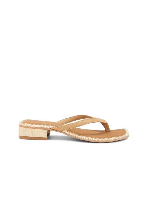 dolce vita Barty Sandal