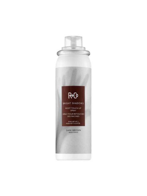 R+Co Bright Shadows Root Touch Up Spray Dark Brown