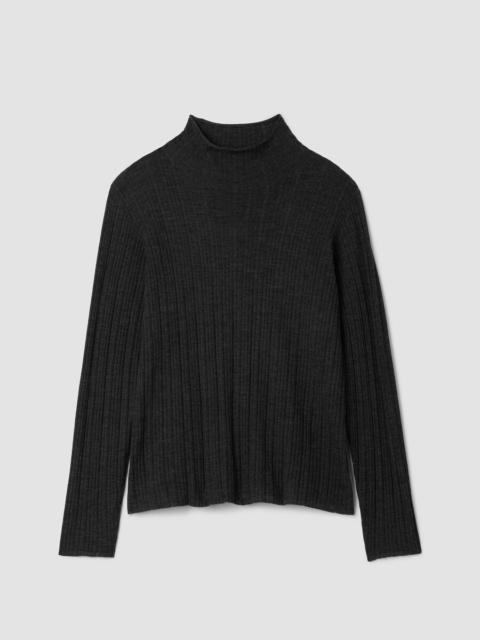 EILEEN FISHER Superfine Merino Turtleneck Top in Regenerative Wool