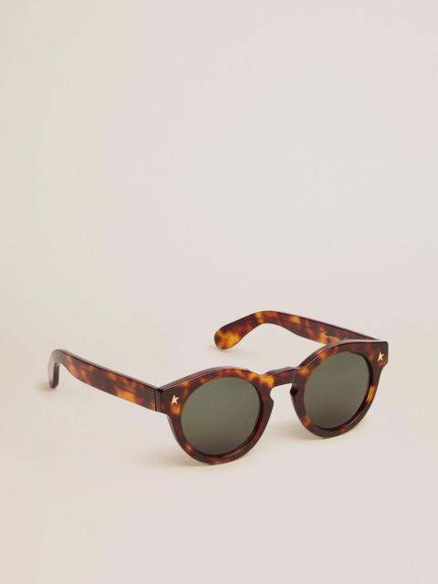 Golden Goose Sunframe Cameron, Panthos style, with Havana brown frame and gold details
