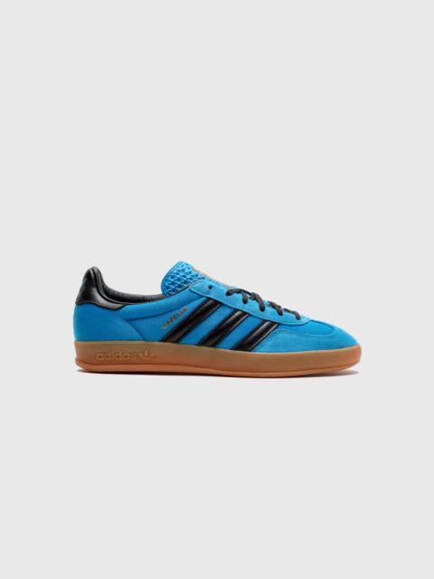 GAZELLE INDOOR "BRIGHT BLUE"