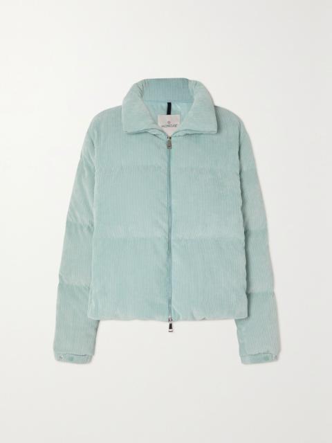 Moncler Antre quilted corduroy down jacket Blue
