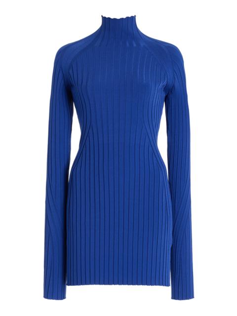 HIGH SPORT Kat Ribbed-Knit Turtleneck Top blue