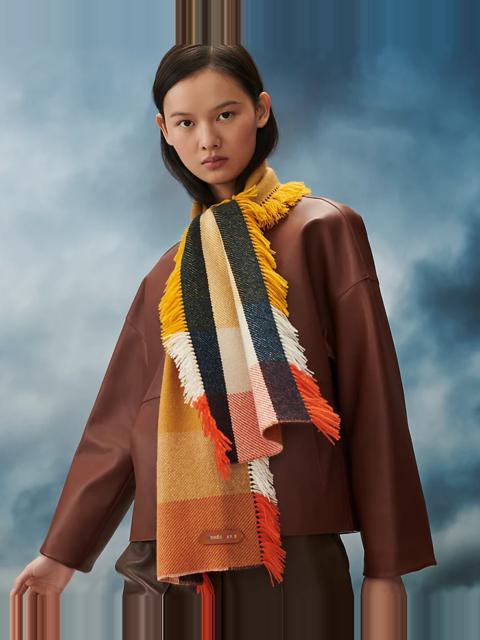 Hermès Parade muffler