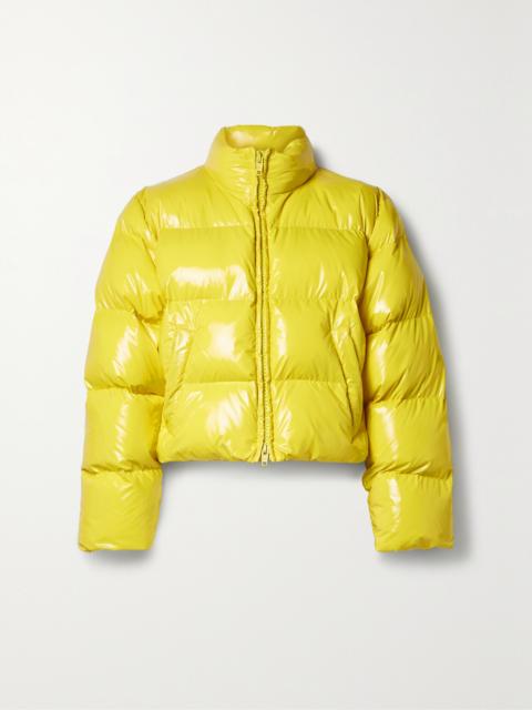 BALENCIAGA 황색에 펑크 Puffer